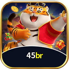 45br Logo